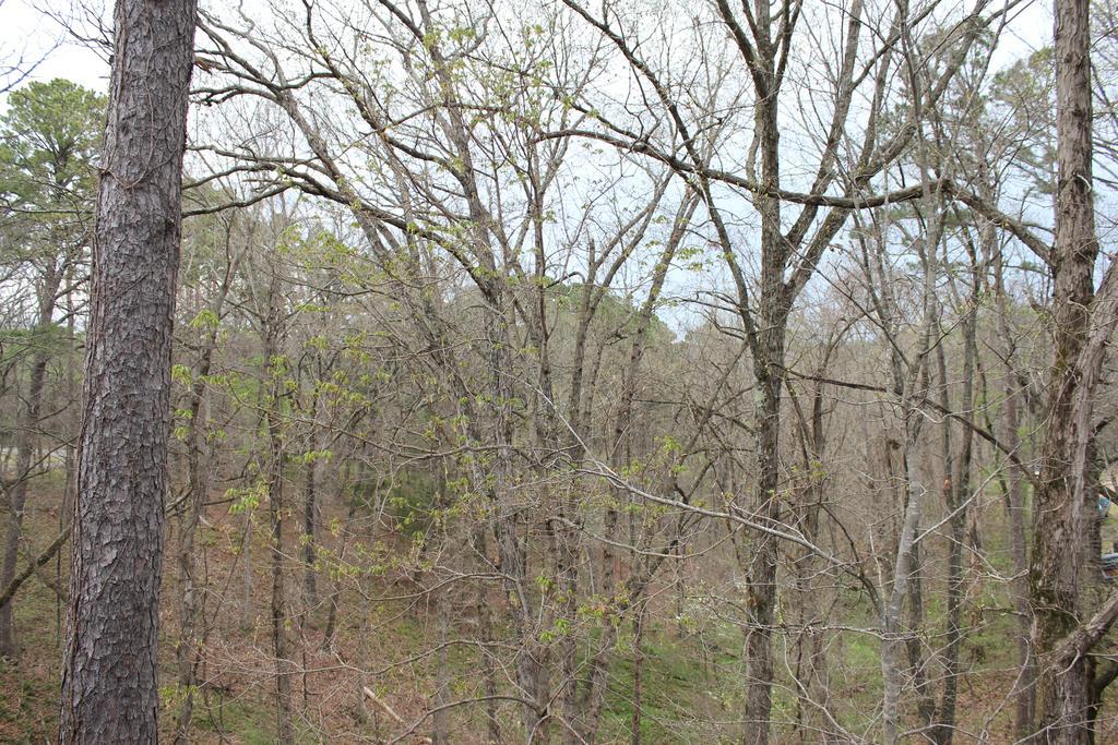 Brydan Suites Eureka Springs Esterno foto